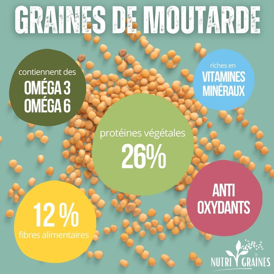 Graines De Moutarde Saveurs Bienfaits Dans Votre Assiette