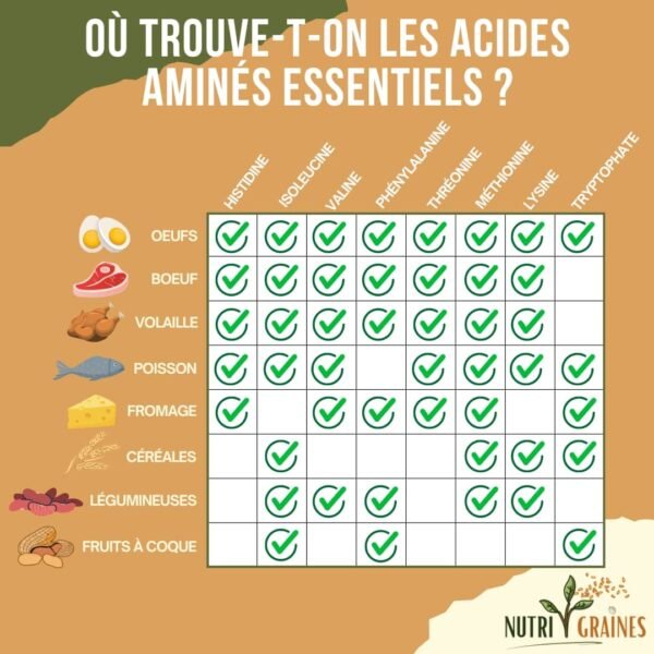 Protéines et acides aminés Les points importants à connaître — free download