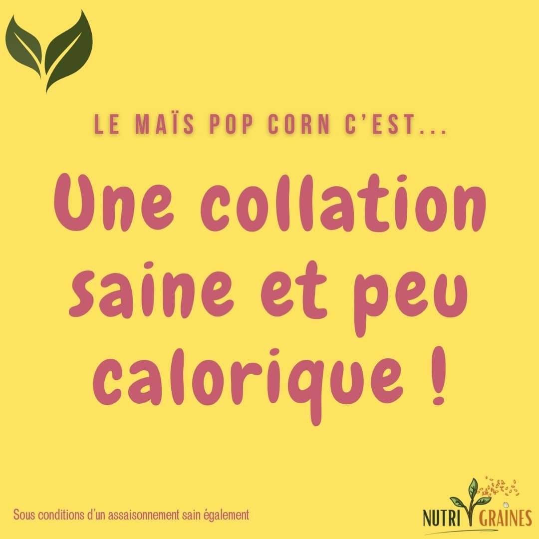 maïs pop corn collation saine