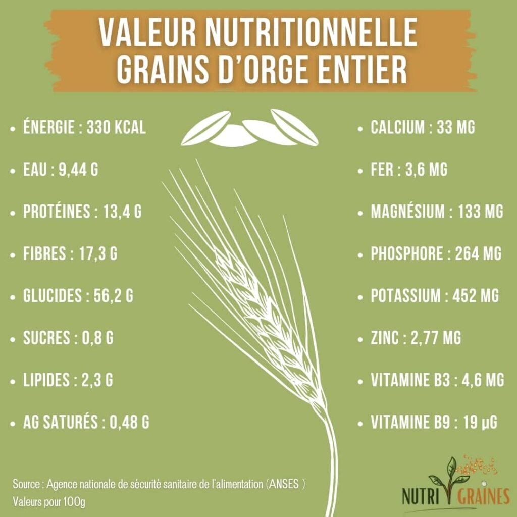 Orge perlé, mondé, brassicole tous les usages de cette céréale