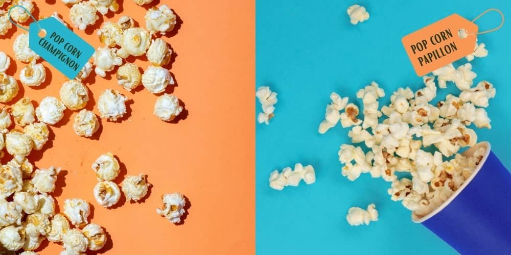 pop corn papillon & pop corn champignon