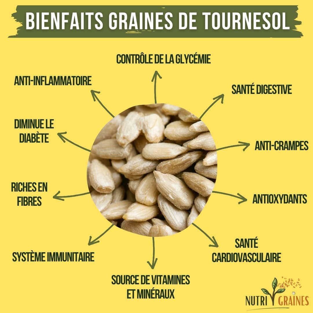 Graines De Tournesol De Ses Bienfaits Comment L utiliser Graines De Tournesol De Ses Bienfaits Comment L utiliser