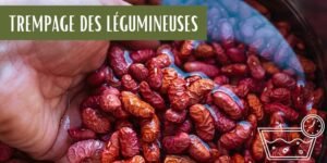 trempage des légumineuses