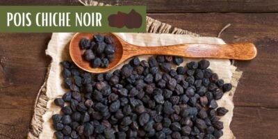 Pois chiche noir : Un joyau oublié aux vertus exceptionnelles