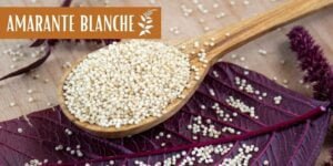 graines amarante blanche
