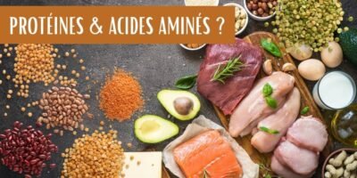 Protéines et acides aminés : Ce qu’il est important de connaître!