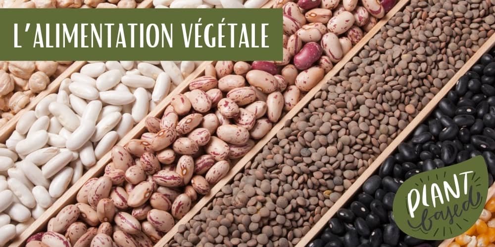 alimentation végétale : un besoin pour la transition alimentaire du 21eme siècle