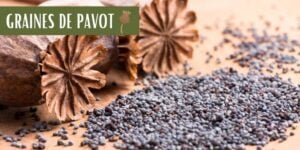 graines de pavot