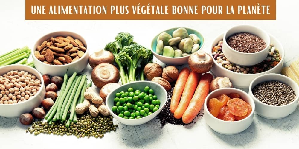alimentation de demain, plus végétale ?