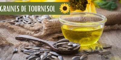 Graines de tournesol : De leurs bienfaits à comment les utiliser !