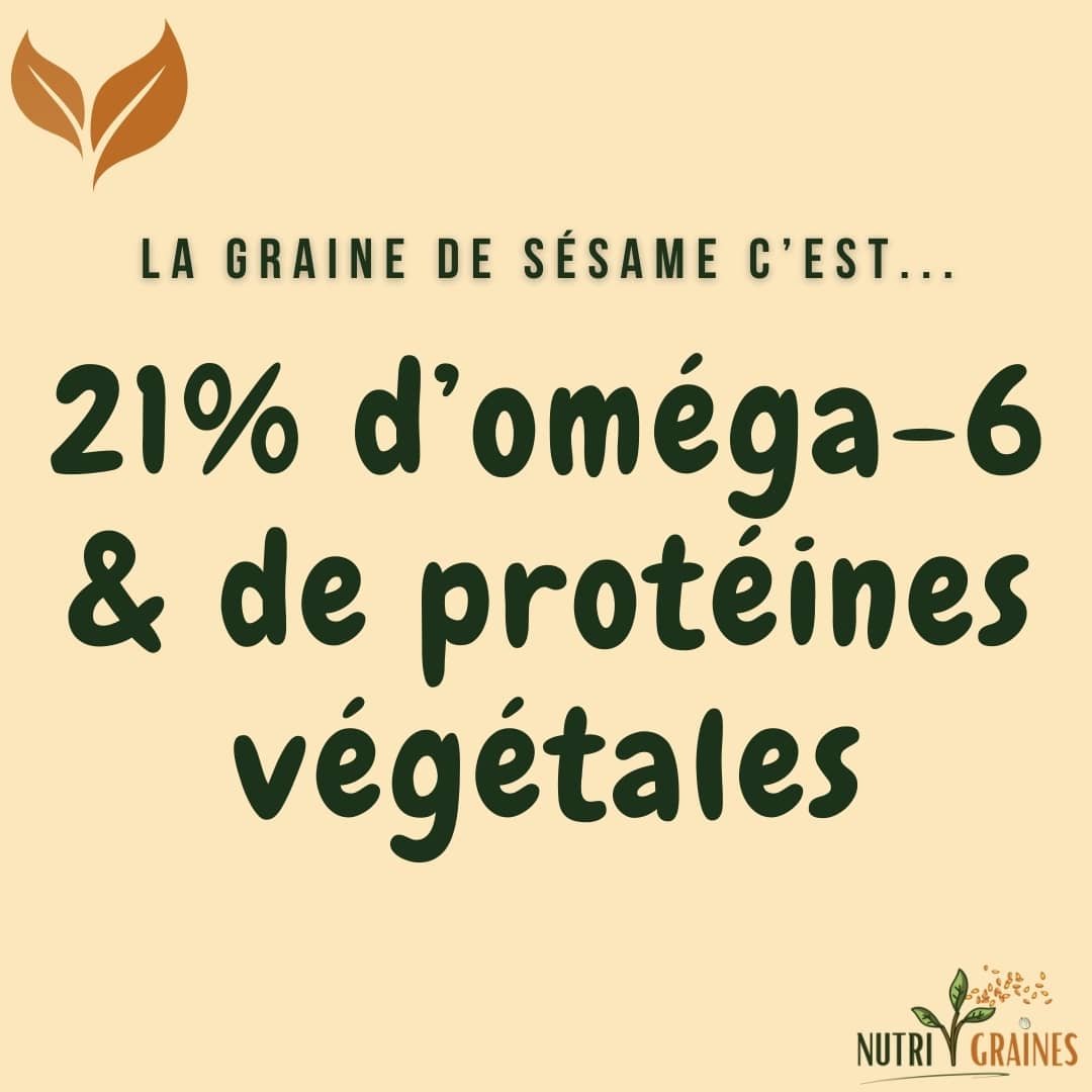 graines de sésame protéines infographie
