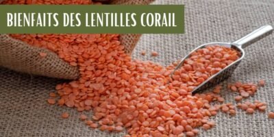 Lentilles corail : Quels bienfaits et comment la cuisinier ?