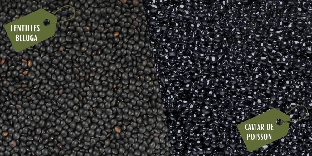lentilles noires aussi appelées lentilles beluga ou caviar végétal