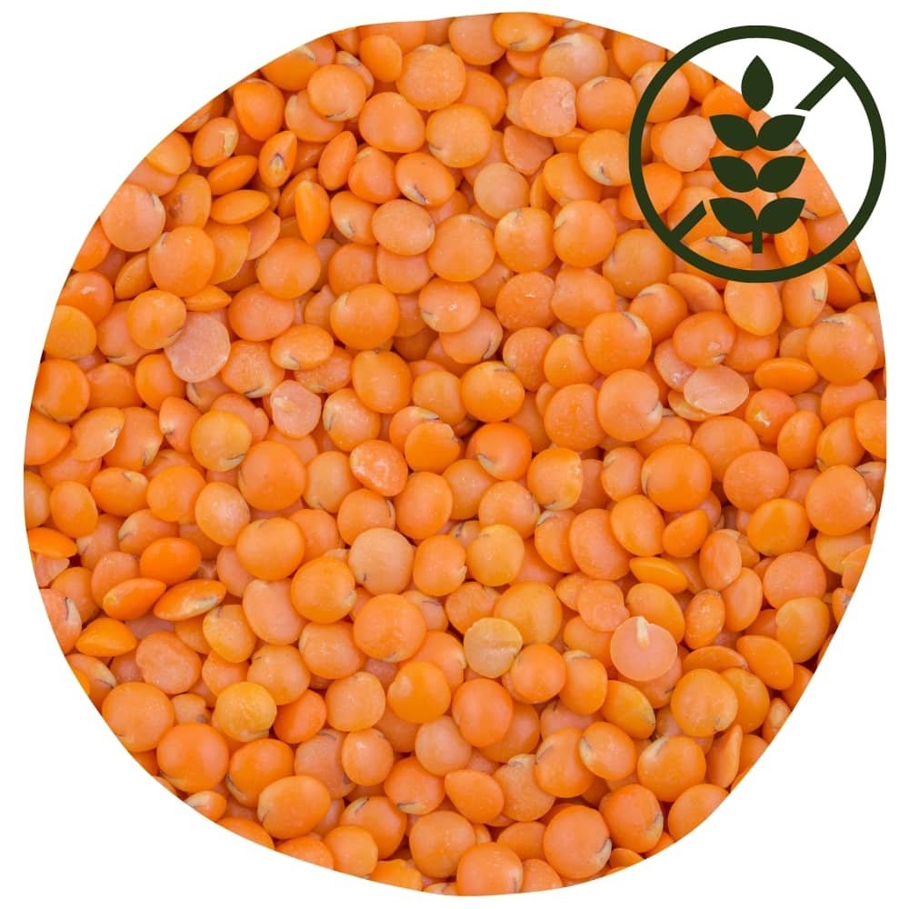 aliment sans gluten : les lentilles corail
