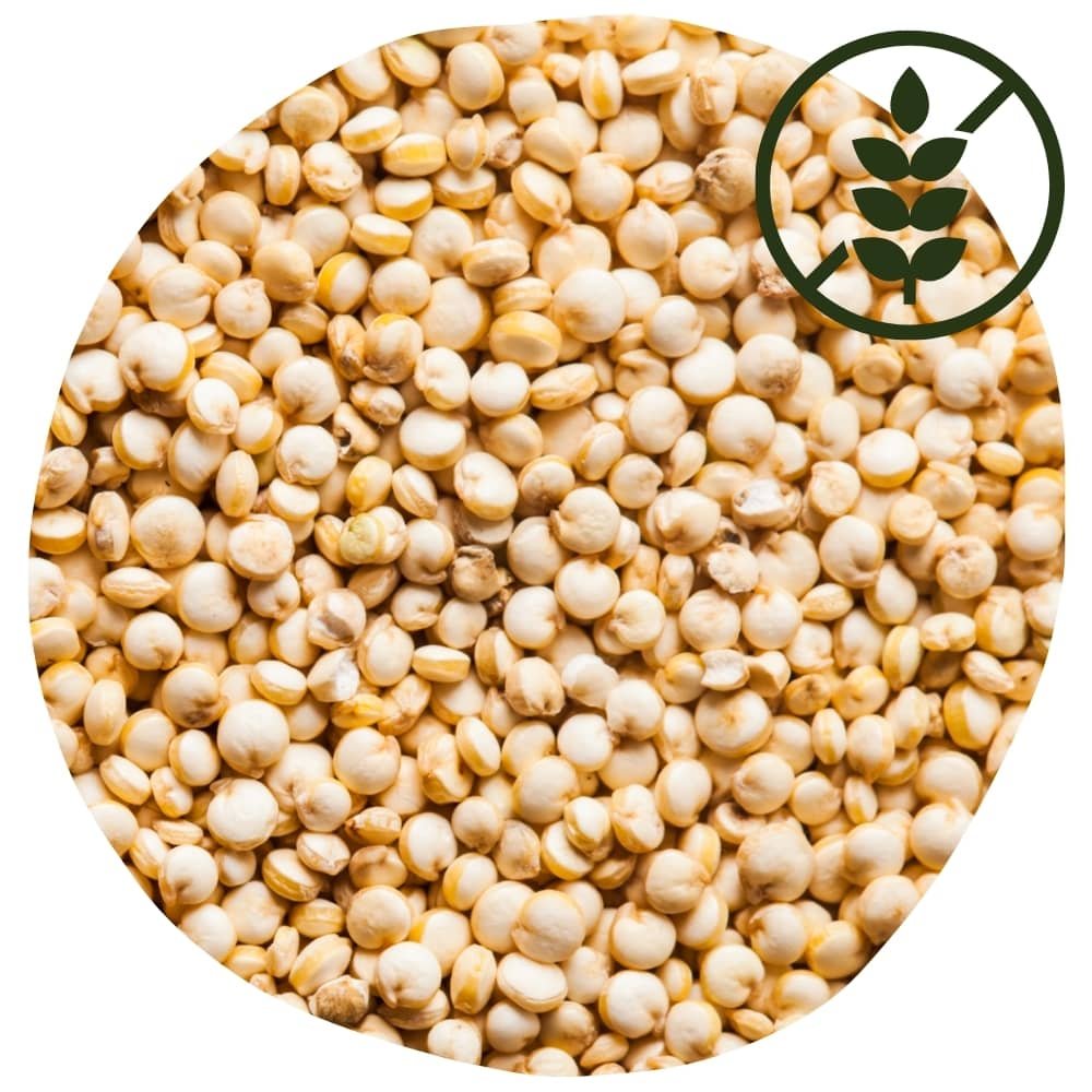 10 aliments sans gluten : le quinoa