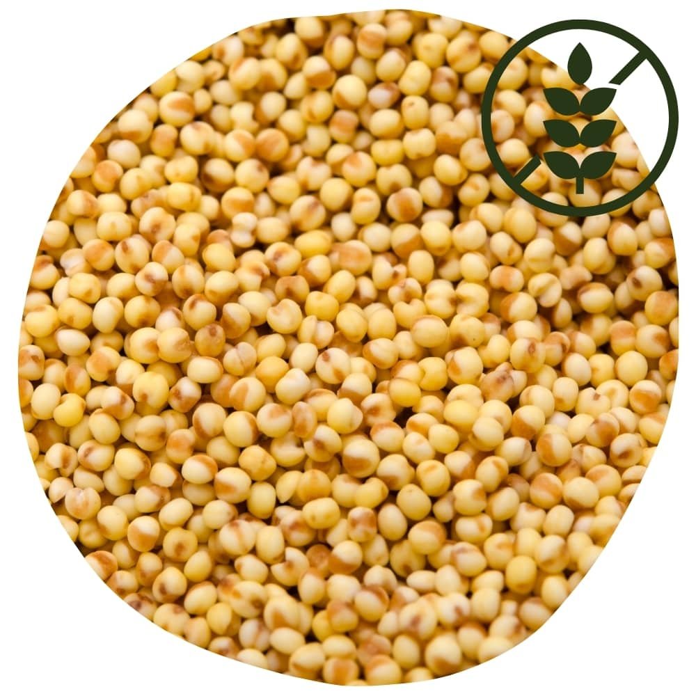 les graines de millet sont une céréale sans gluten