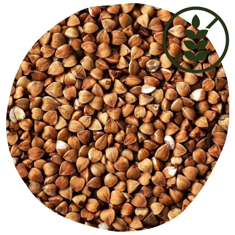 10 aliments sans gluten : le sarrasin
