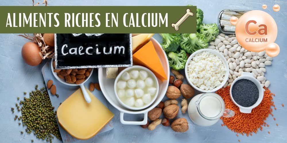 aliments riches en calcium