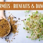 Graines germées : super-aliment ou danger caché ? A savoir !