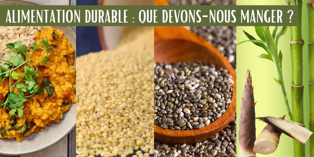 alimentation durable : quelles cultures pour l'alimentation de demain ?