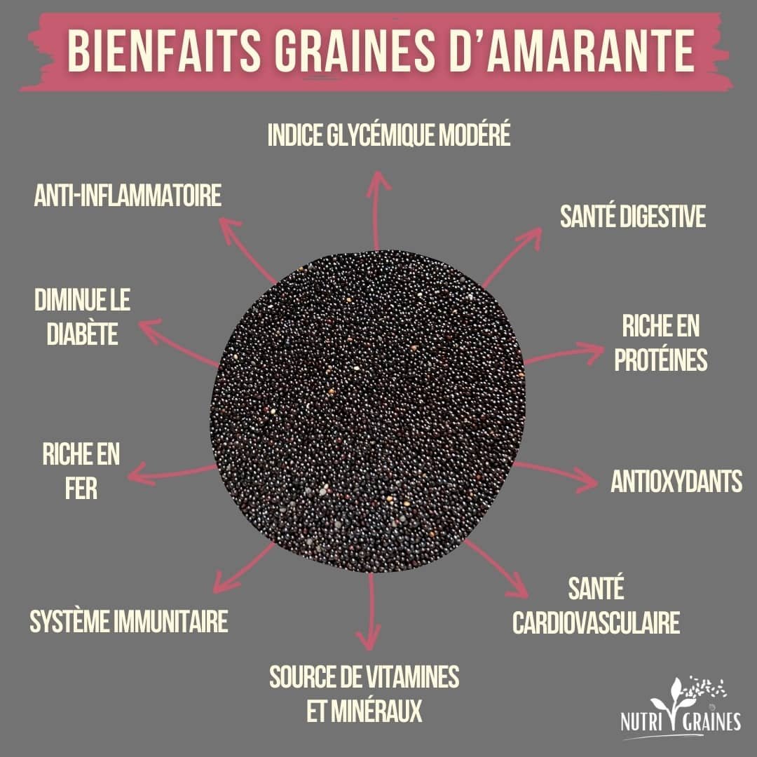 bienfaits des graines d'amarante noire sur la santé