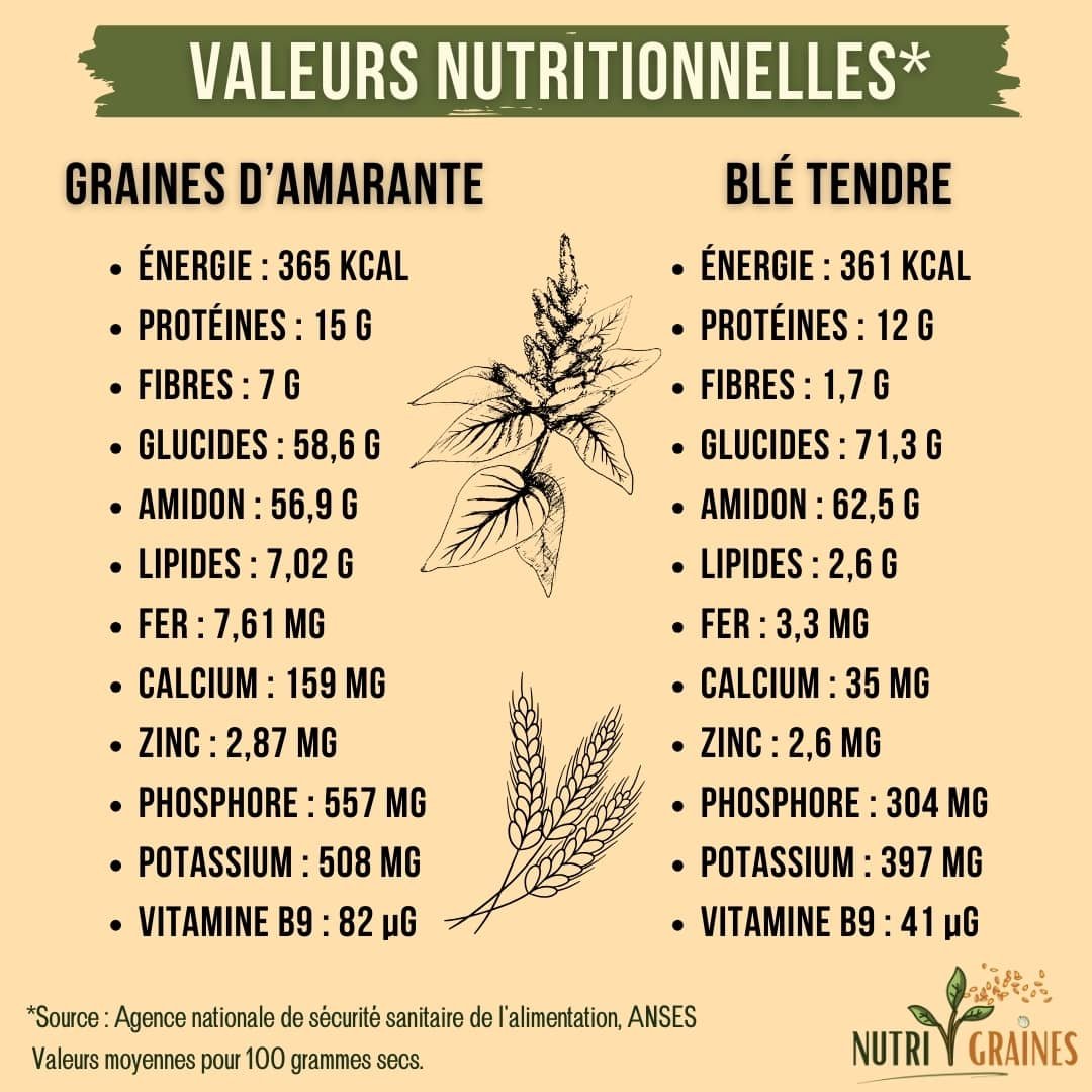 valeurs nutritionnelles amarante noire vs blé tendre