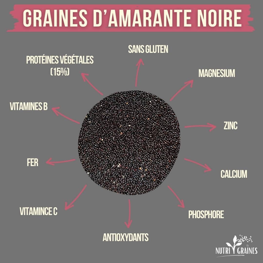 composition graines d'amarante noire