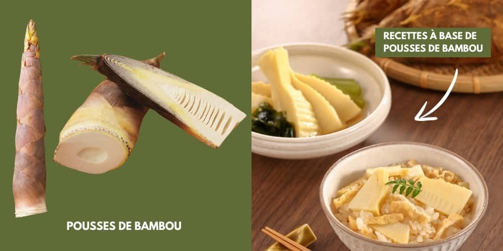 Pousse de bambou et recettes à base de bambou