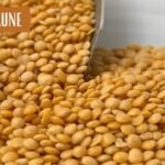 Lentille jaune : origine, bienfaits, valeur nutritionnelle et idées de recettes