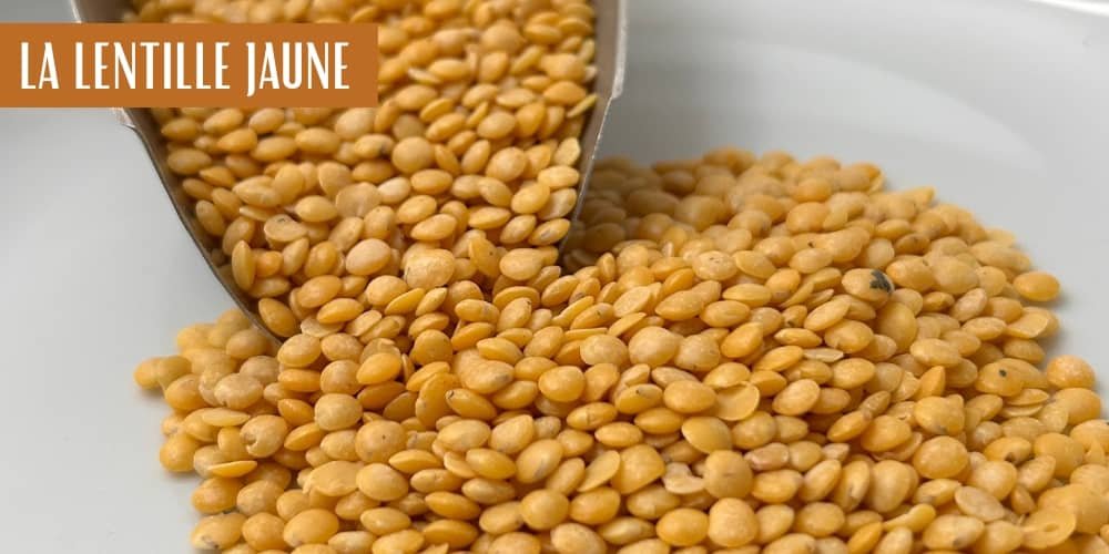 découvrez la lentille jaune