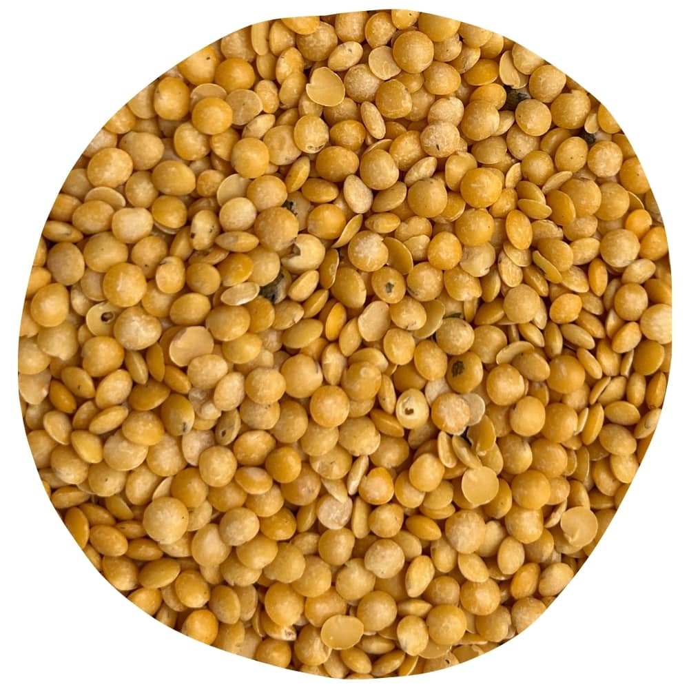 lentilles jaunes