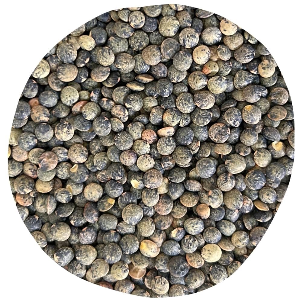 lentilles vertes