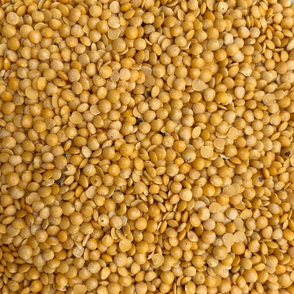 lentilles jaunes