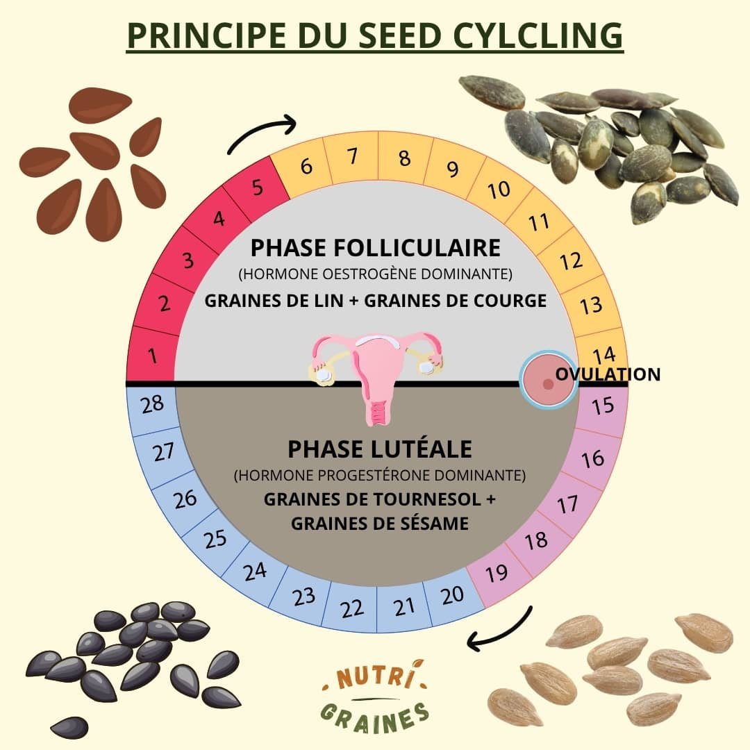 le seed cycling