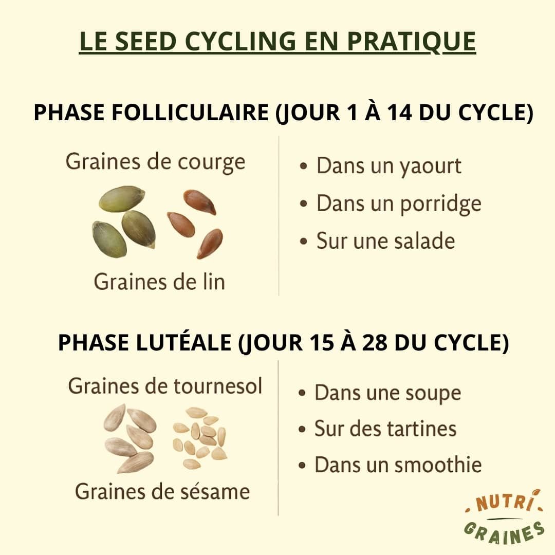 le seed cycling en pratique