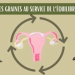 Seed cycling : qu’est-ce que c’est et comment ça marche ?